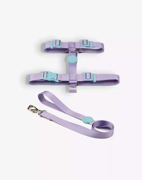Conjunto Peitoral H e Guia Lilás